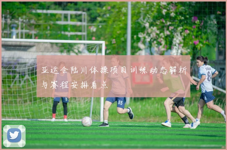 亚运会陆川体操项目训练动态解析与赛程安排看点