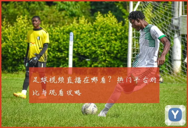 足球视频直播在哪看？热门平台对比与观看攻略