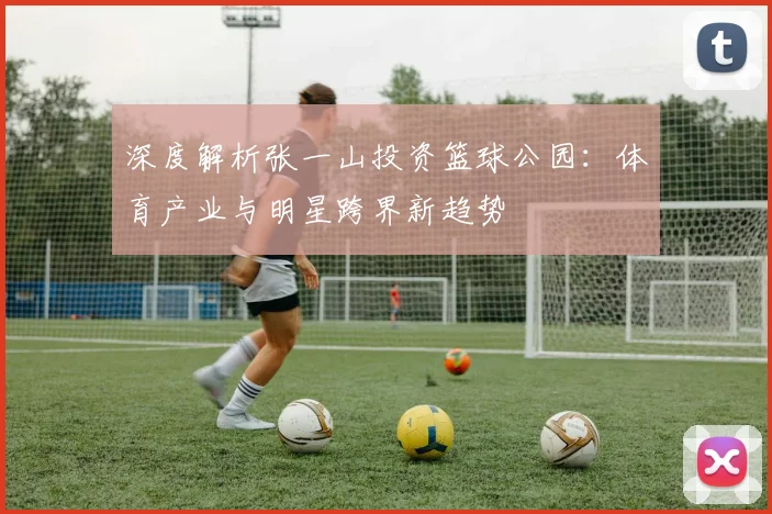 深度解析张一山投资篮球公园：体育产业与明星跨界新趋势