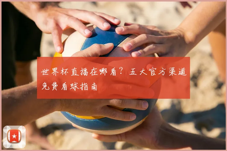 世界杯直播在哪看？五大官方渠道免费看球指南